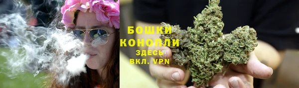 молекула духа Володарск