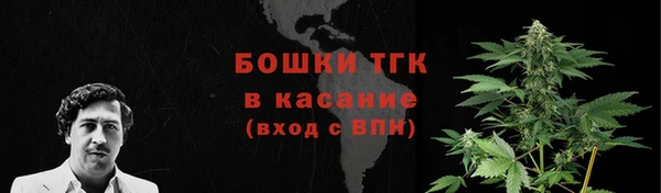 mdpv Горнозаводск